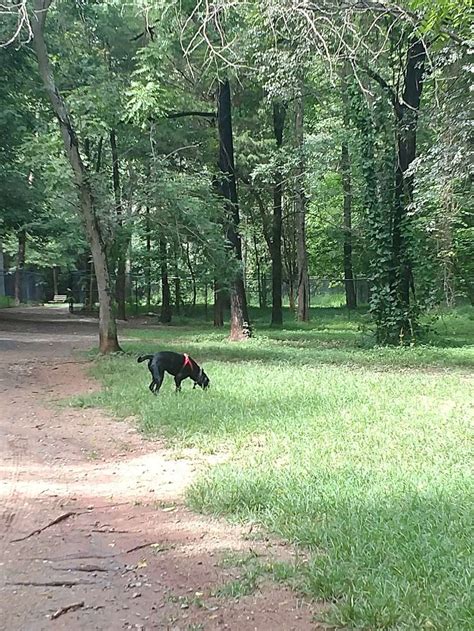 William R. Davie Park - 4635 Pineville-Matthews Rd, Charlotte, NC 28226 ...