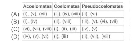 A list of animals (i-vii) is given. Classify them as acoelomates ...