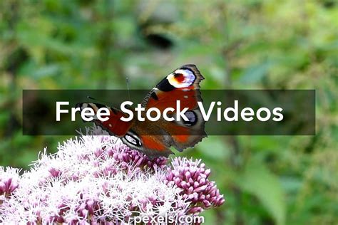 Image result for Android and iOS Background