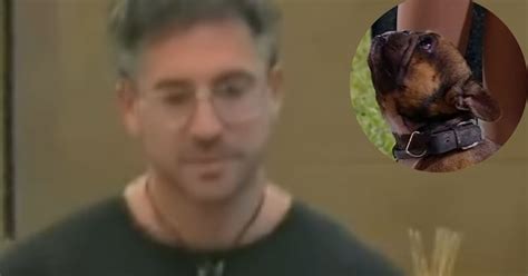 Uno de los perros de Juan Pablo tuvo un problema de salud, Gran Hermano ...