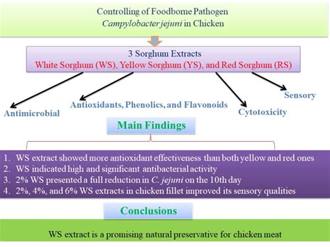 Estimating the Prevalence of Foodborne Pathogen Campylobacter jejuni in ...