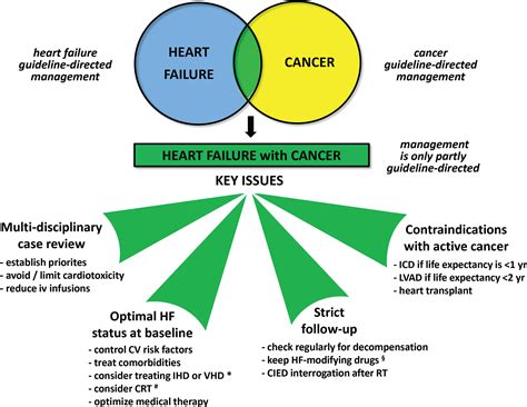 Congestive Heart Failure Life Expectancy
