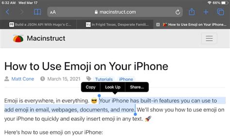 Image result for How to Copy and Paste Using the iPad