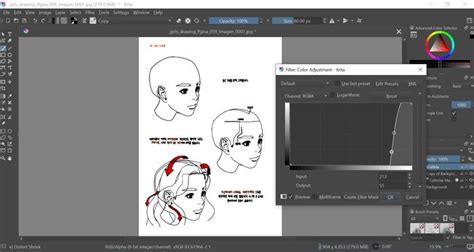 Krita Basic Photo Editing Tutorial 的图像结果