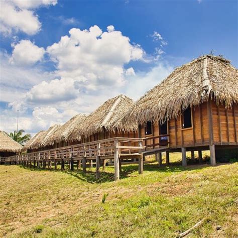 POUSADA RIO MUTUCA (Careiro Da Varzea) - Lodge Reviews & Photos ...