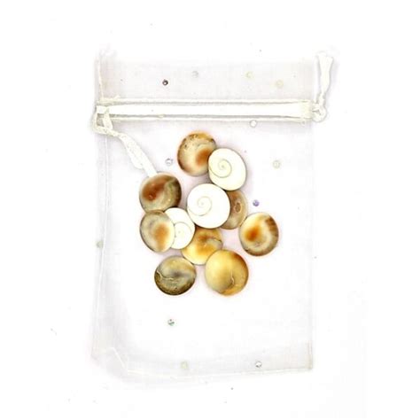 Rare Gomti / Gomati Chakra [11pcs] Vastu & Astrology Benefits ...