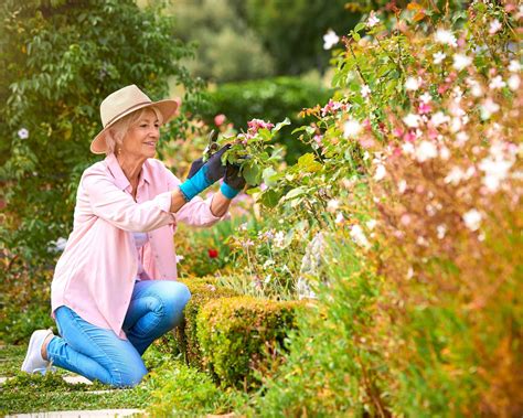 Cataract Surgery St. Paul | Light Adjustable Lens | Associated Eye