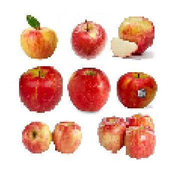 Image result for Computer Critters Characters