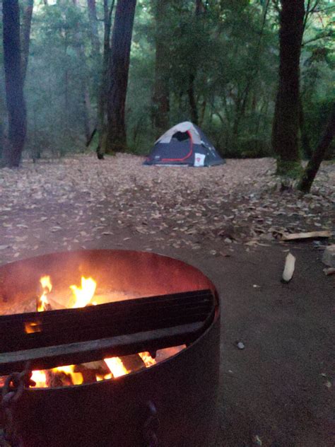 Hendy Woods State Park Campground | Mendocino, CA