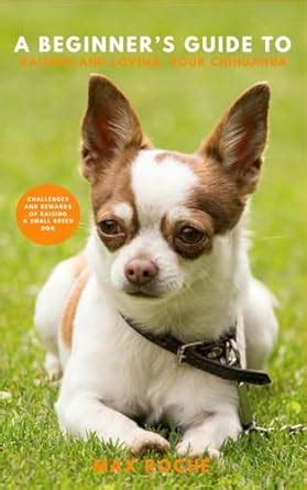 A Beginner's Guide to Raising and Loving Your Chihuahua: Challenges And ...
