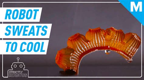 This Robot Sweats To Cool Itself Down - Tech