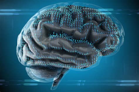 Inside The Mind: How Your Brain Makes Decisions