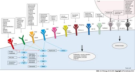 Molecular mechanisms targeting drug-resistance and metastasis in colorectal cancer: Updates and ...
