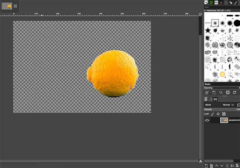 How to Remove Background of an Image Using GIMP (4 Easy Ways)