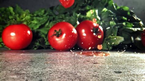 Food Animation 的图像结果