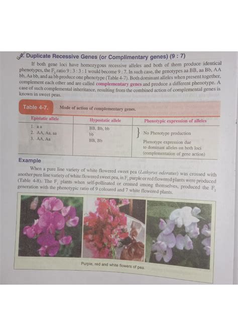 Image result for Complementary Genes