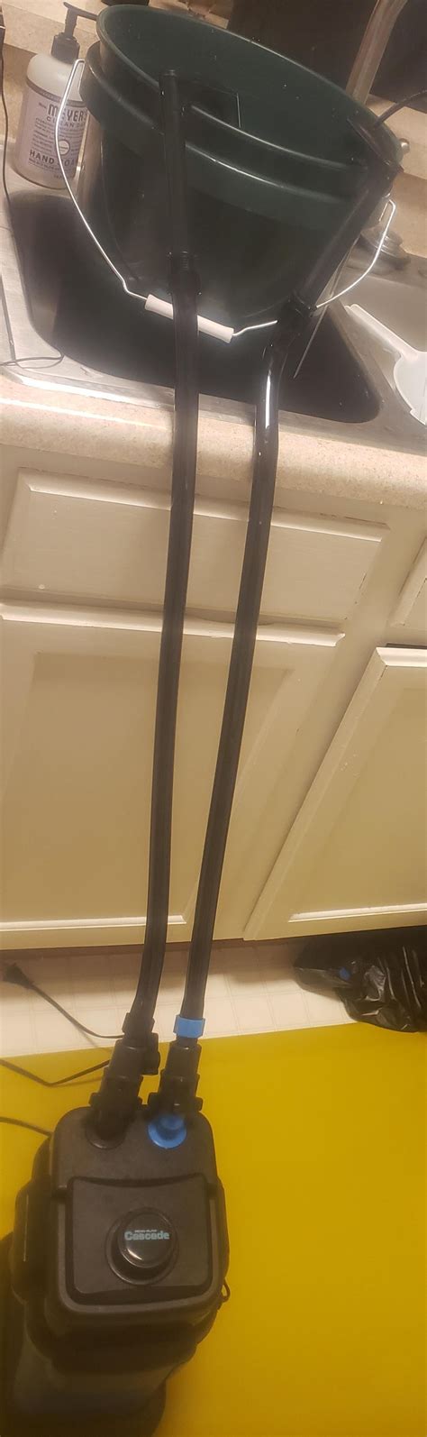 40 gallon breeder leak - Will this save my cycle after a leak? : r/Aquariums