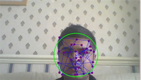 Face Tracking in Python 的图像结果