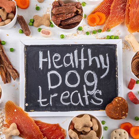 Five importance of choosing healthy nutritional treats for pets – Fetch ...
