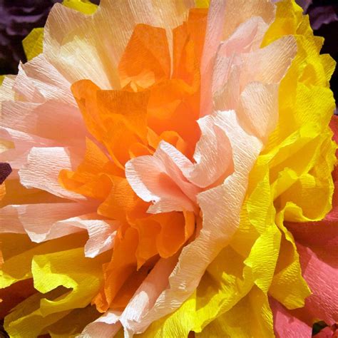 Image result for Crepe Paper Flowers Tutorial