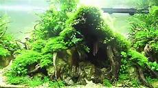 amano aquascape l aquarium de julien voultoury iaplc 2014 ada takashi amano aquascape l aquarium de julien voultoury iaplc 2014 ada takashi