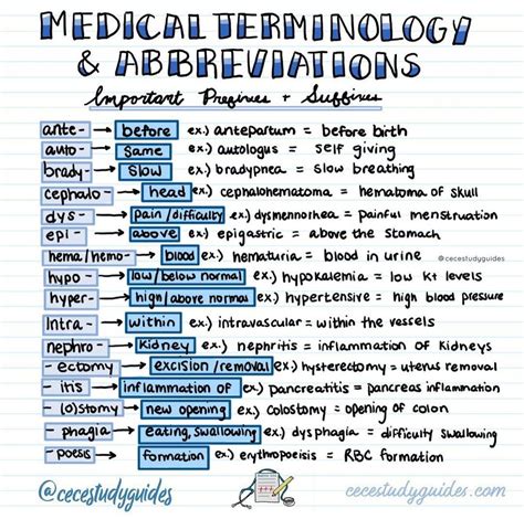 Medical terminology and abbreviations | Medical school stuff, Nurse study notes, Nursing school ...
