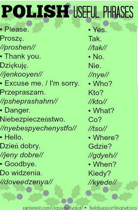 Best Polish Swear Words - Letter Words Unleashed