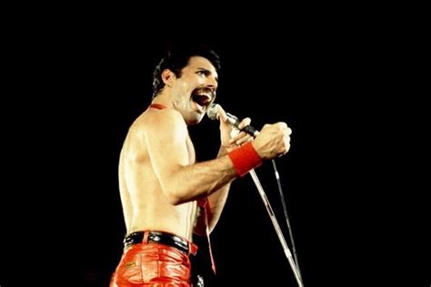 Freddie Mercury morreu há 25 anos - Cultura - Correio da Manhã