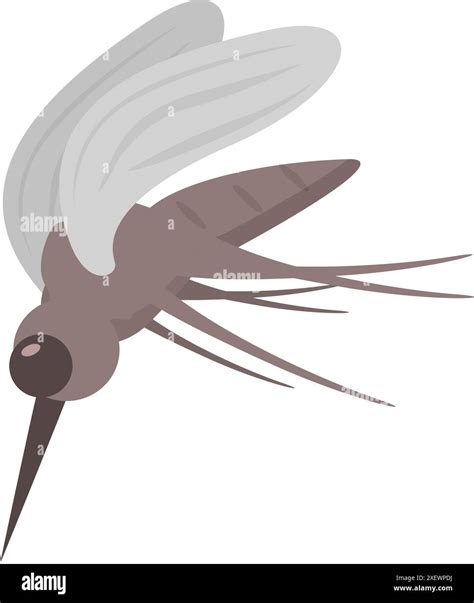 Mosquito flying and spreading dangerous diseases like malaria, zika and dengue fever Stock ...