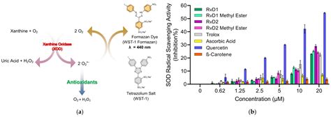 Protective Effect of Resolvin D1, D2, and Their Methyl Esters on ...