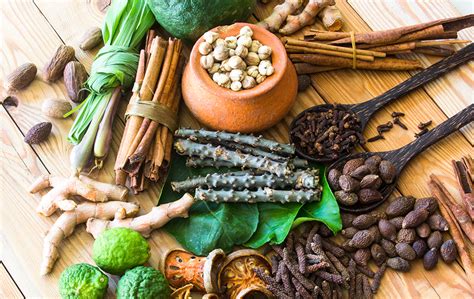 Ayurvedic Herbal Medicine 的图像结果