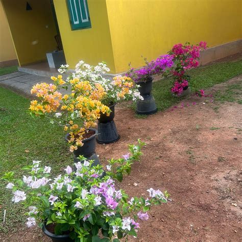 KURUMBA VILLAS (Bentota) - Villa Reviews, Photos, Rate Comparison ...