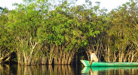 Sustainable Development 的图像结果