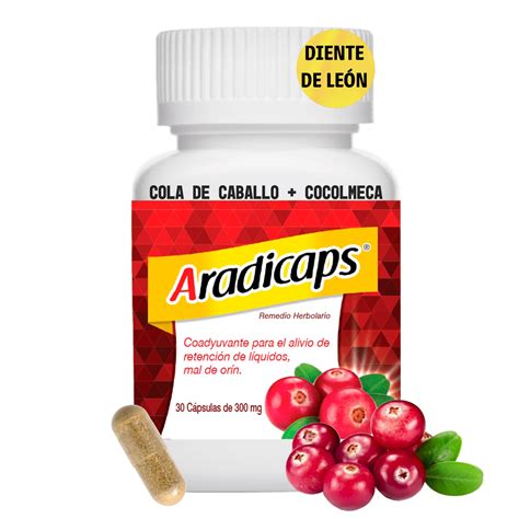 Aradicaps Remedio Herbolario con Extracto de Arandano Diente de Leon Cola de Caballo Cocolmeca ...