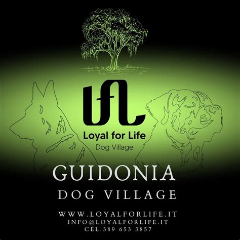 Passeggiata a 6 zampe, Guidonia Montecelio - Roma, 18 May 2025 | AllEvents