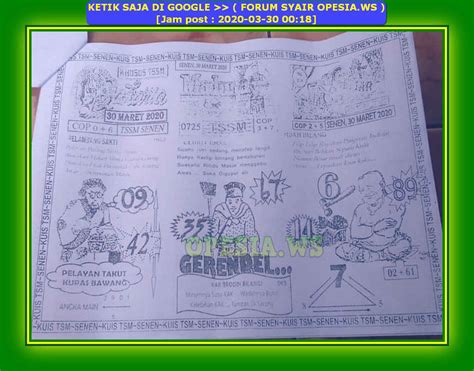 syair hk vip selasa 30 januari 2024