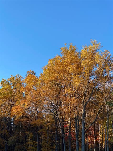 Penhook, VA Map & Directions - MapQuest