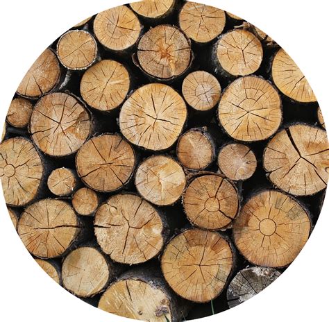 Image result for Log Scale PNG