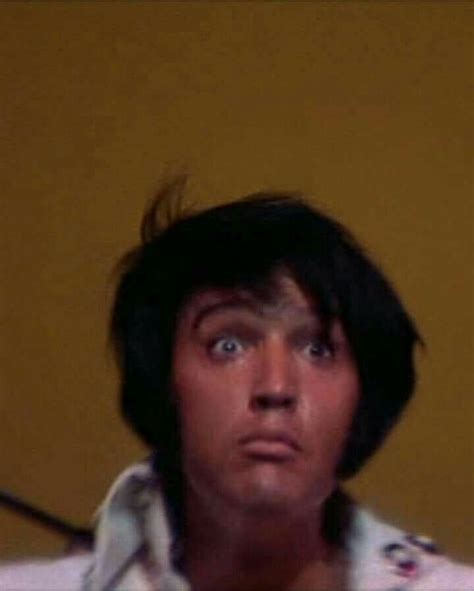 Alien Obsession 的图像结果