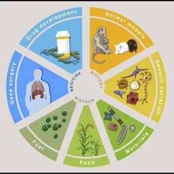 Application of Genetic Engineering 的图像结果