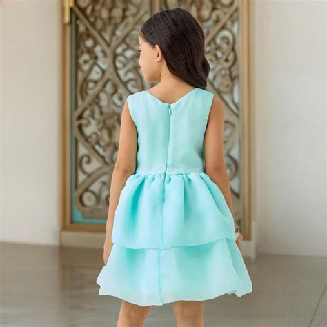Buy Juniors Floral Accent Sleeveless A-line Dress with Zip Closure from ...