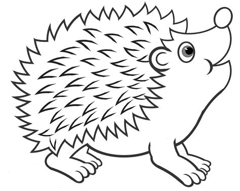 Hedgehog Coloring Page | Tramadol Colors