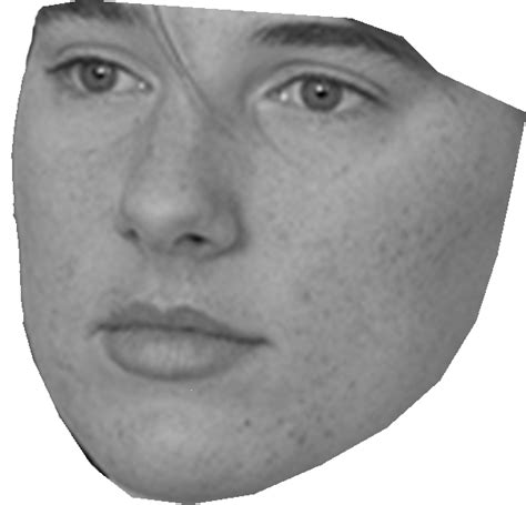 Image result for Warping Face Python