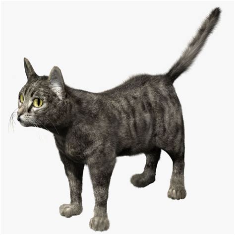 Stylized Cat Free 3D Model - .blend - Free3D