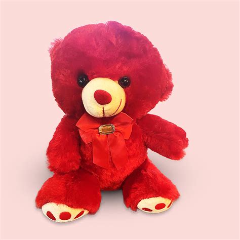 Red Teddy Bear | Teddy Bear Big Size