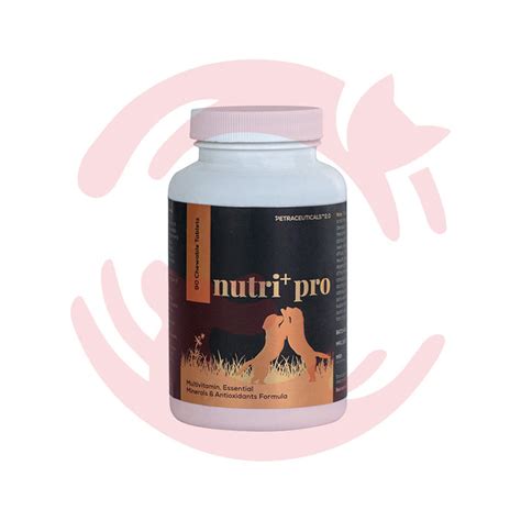 Buy Venttura Supplements for Cats & Dogs - Nutri Plus Growth ...