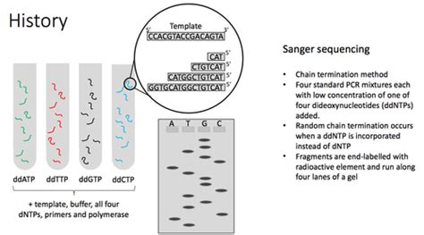DNA Sequencing Technologies 的图像结果