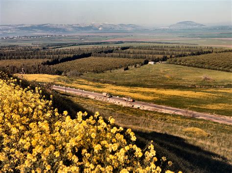 Mount Tabor From Megiddo