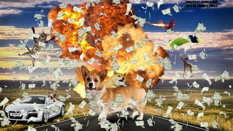 Puppy Exploding 的图像结果