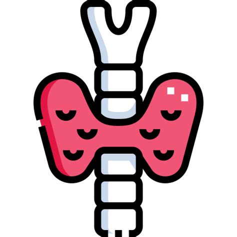 Image result for Endocrine System Transparent Background